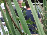 Thumbnail of IMG_0199.JPG