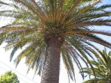 Thumbnail of STA_0221.JPG
