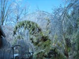 Thumbnail of IMG_0532.JPG
