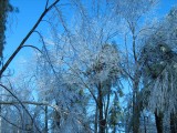 Thumbnail of IMG_0534.JPG