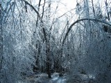Thumbnail of IMG_0537.JPG