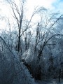 Thumbnail of IMG_0538.JPG