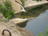 Thumbnail of IMG_0434.jpg