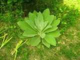 Thumbnail of IMG_0744.jpg