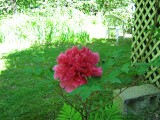 Thumbnail of IMG_0752.jpg