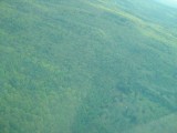 Thumbnail of IMG_0674.JPG