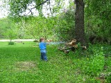 Thumbnail of IMG_0727.jpg