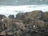Thumbnail of IMG_3312.JPG